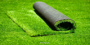 Artificial Grass Price in Pakistan