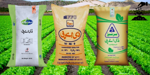 Fertilizer Price in Pakistan